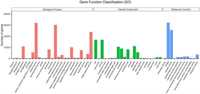 Transcriptional Profiling and Identification of Heat-Responsive Genes in Perennial Ryegrass by RNA-Sequencing